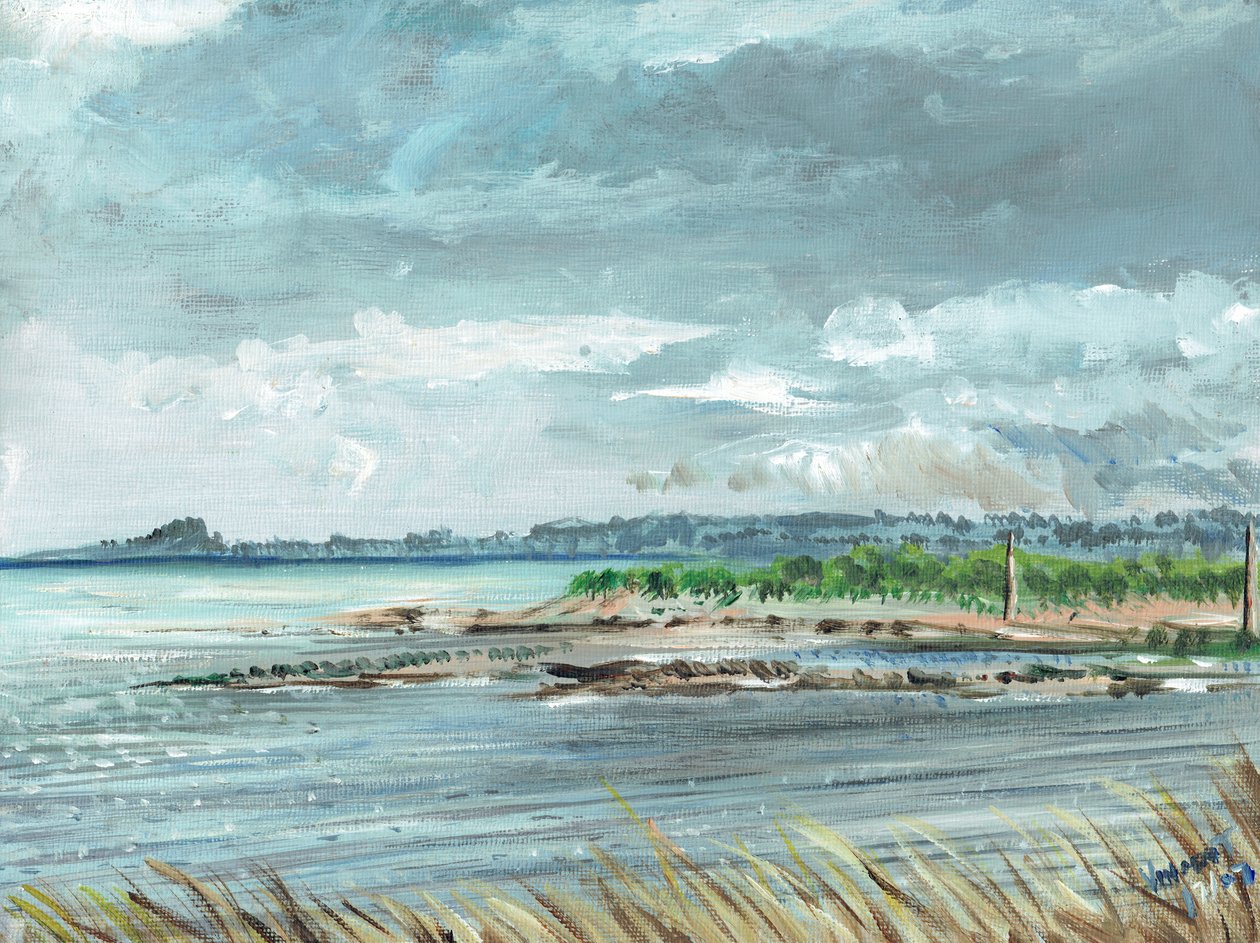 Iona İskoçya, 2007, (tuval üzerine akrilik) by Vincent Alexander Booth