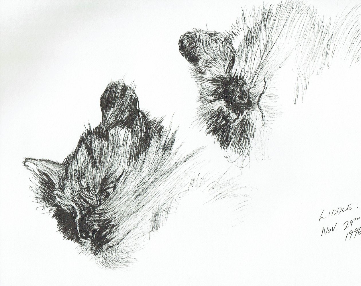 küçük çocuk by Vincent Alexander Booth