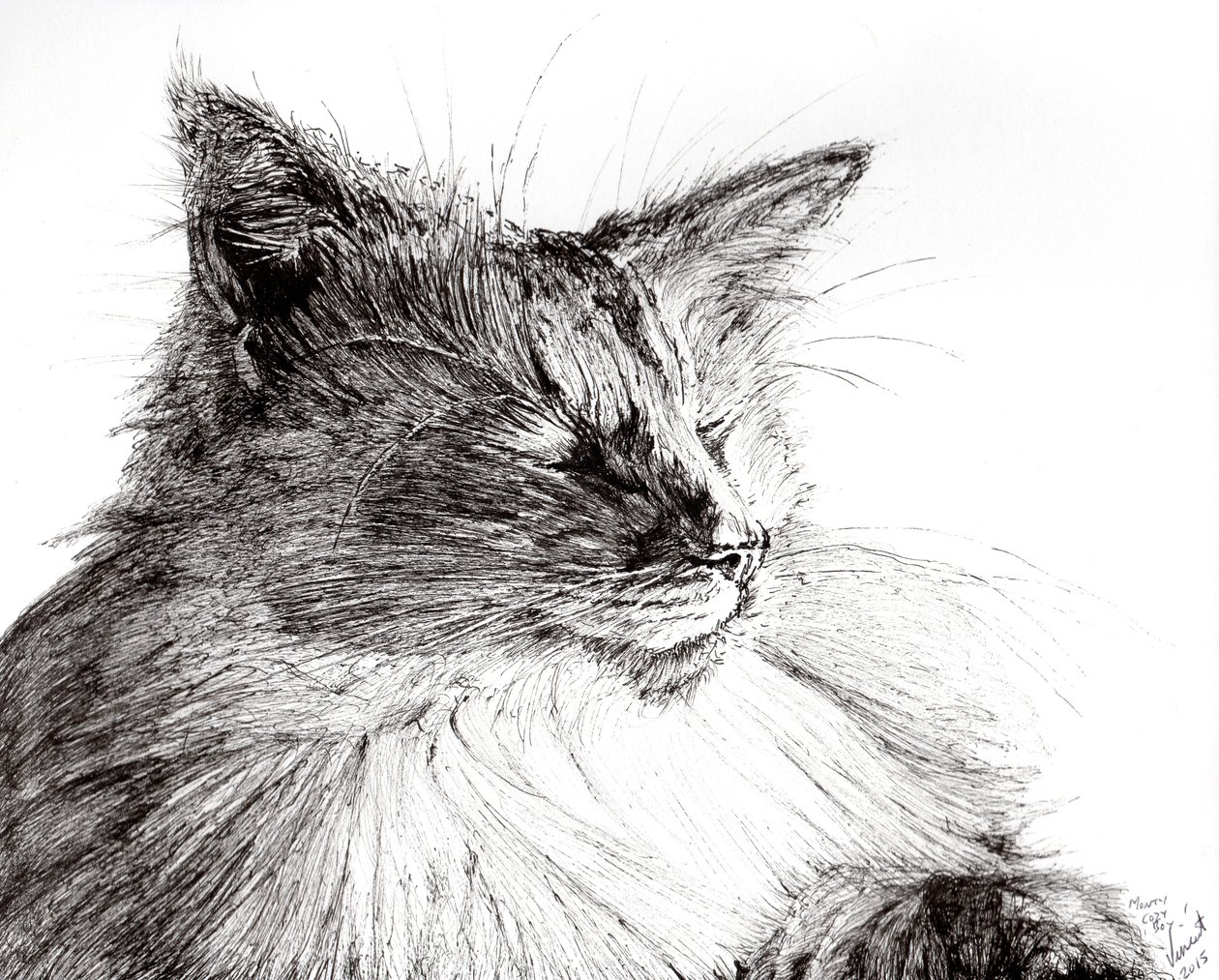 Monty şirin çocuk, 2015, (kağıt üzerine mürekkep) by Vincent Alexander Booth