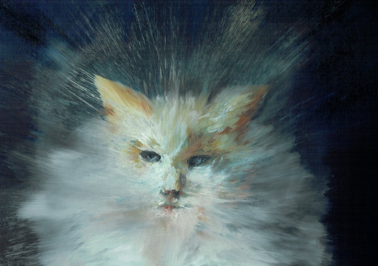 Monty fluffball, 2015, (tuval üzerine yağlı boya) by Vincent Alexander Booth