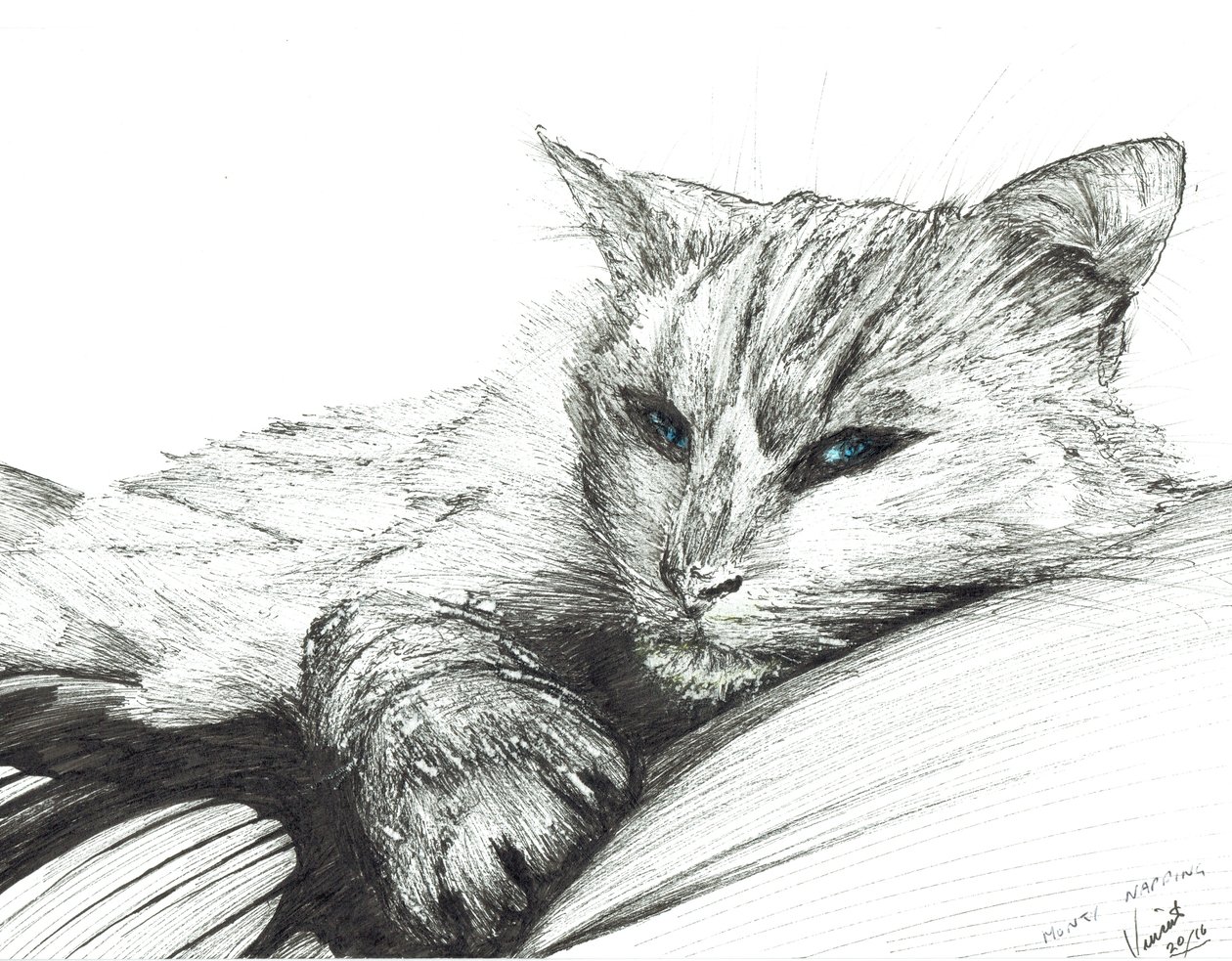 Monty, uyuklayan, 2016, (kağıt üzerine mürekkep) by Vincent Alexander Booth