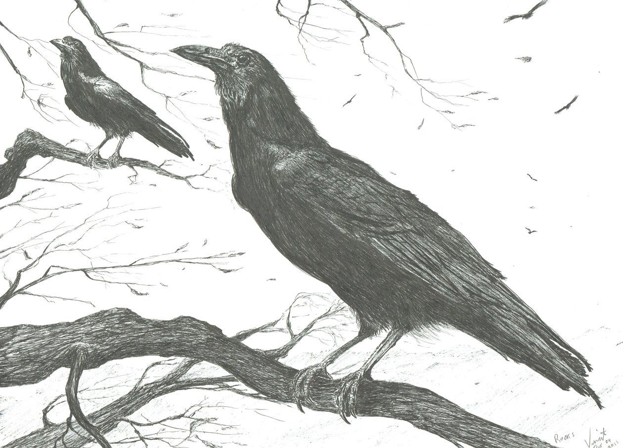 Gözlemciler, 2011 by Vincent Alexander Booth