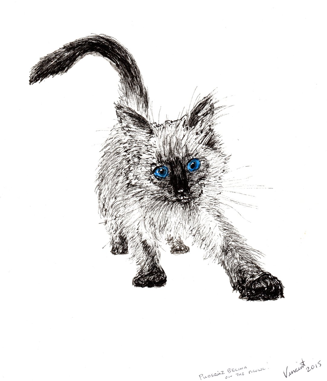 Sinsi sinsi !, 2015, (kağıt üzerine mürekkep) by Vincent Alexander Booth