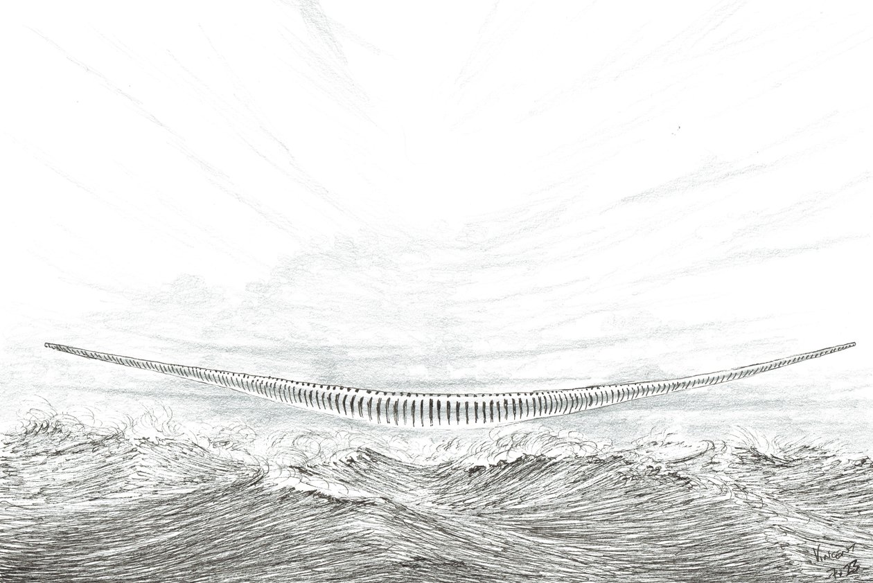 Fırtına Yaratıcıları Cape Leveque, 2023 by Vincent Alexander Booth