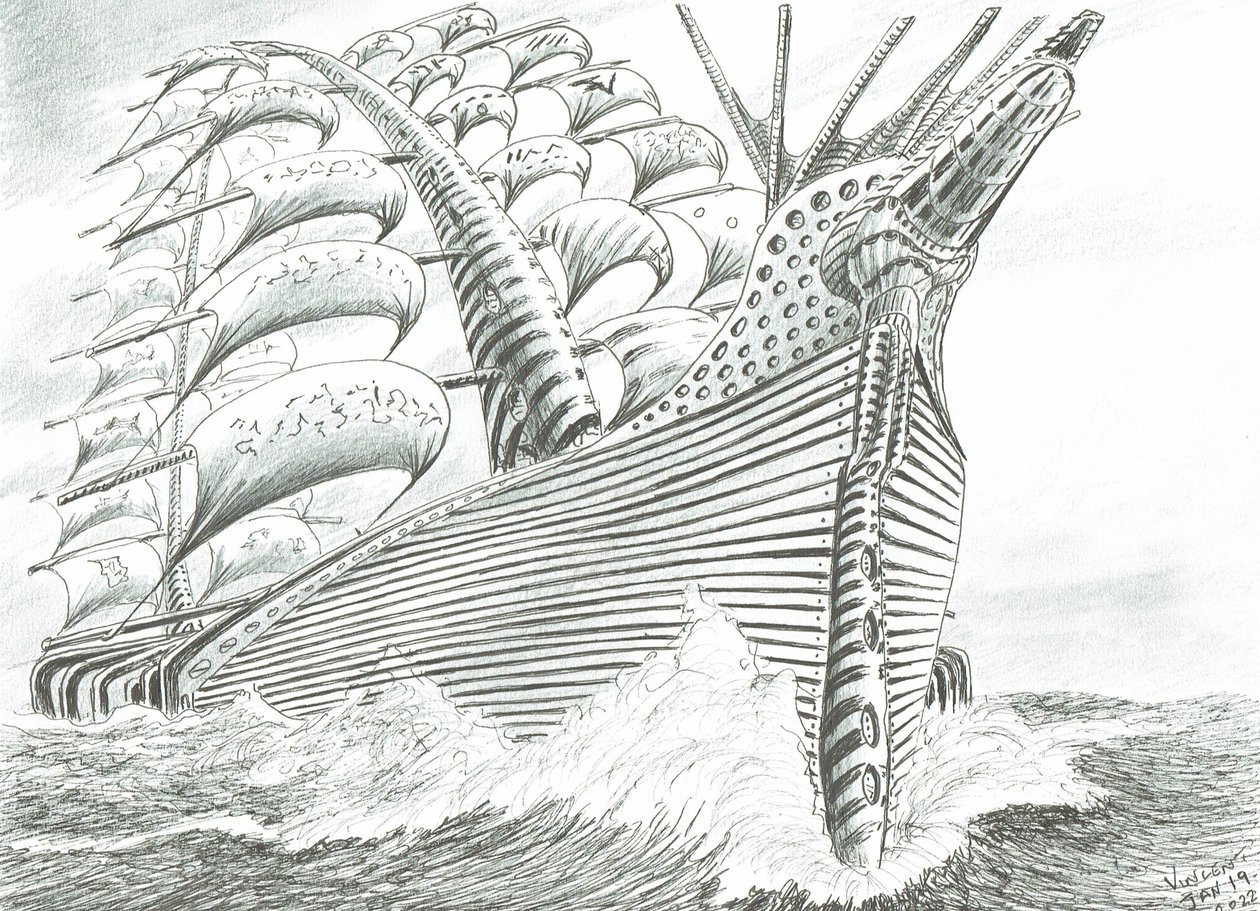Fırtına Yaratıcıları Cape Maria Van Diemen, 2022 by Vincent Alexander Booth