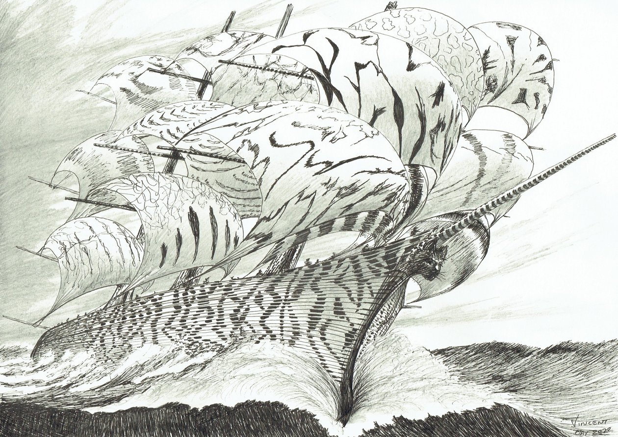 Fırtına Yaratıcıları Kariba Gölü, 2022 by Vincent Alexander Booth