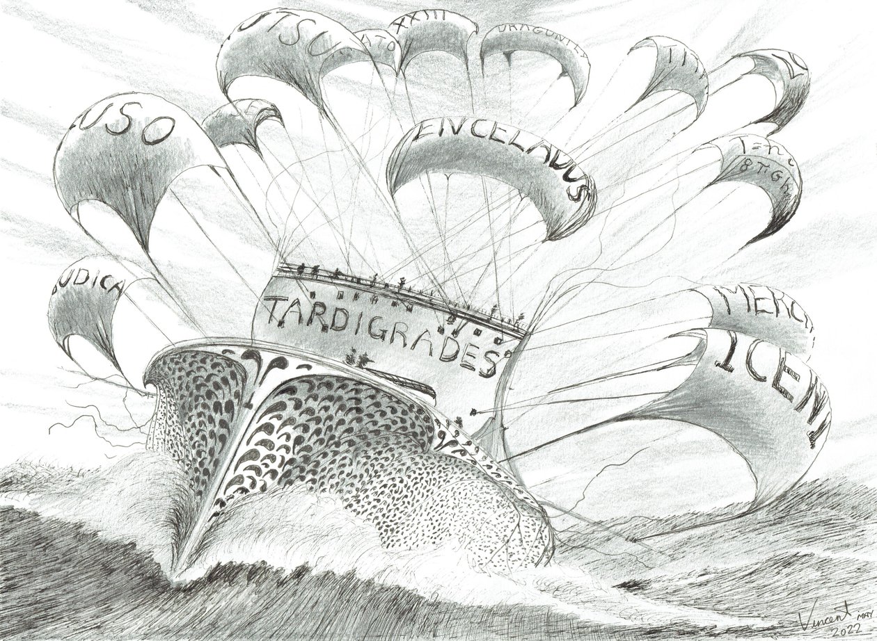 Fırtına Yaratıcıları Wakasa Wan, 2022 by Vincent Alexander Booth