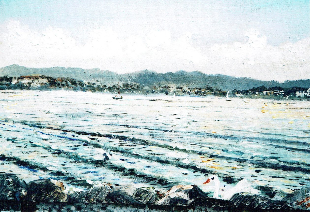 gölde kuğu, 2010 by Vincent Alexander Booth
