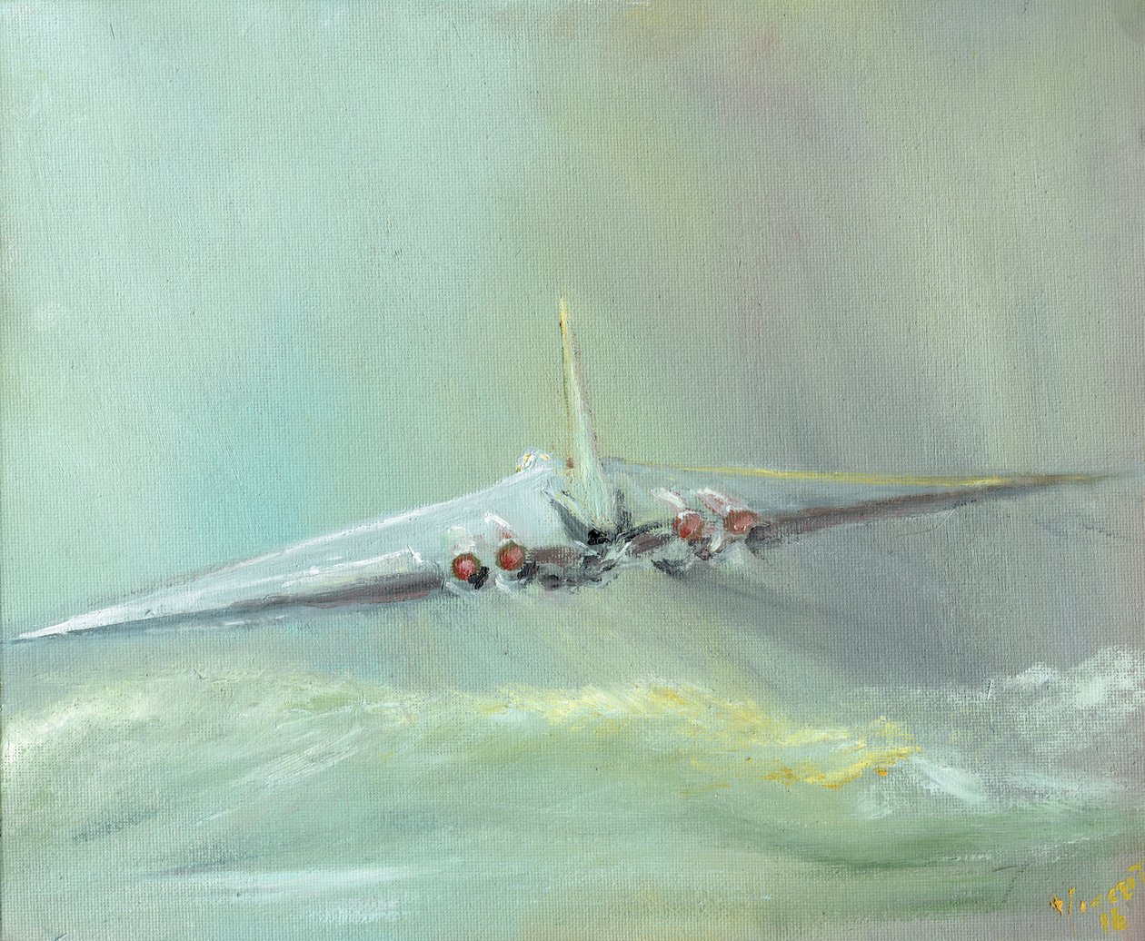 Vulcan B1 sortisi, 2016, (tuval üzerine yağlı boya) by Vincent Alexander Booth