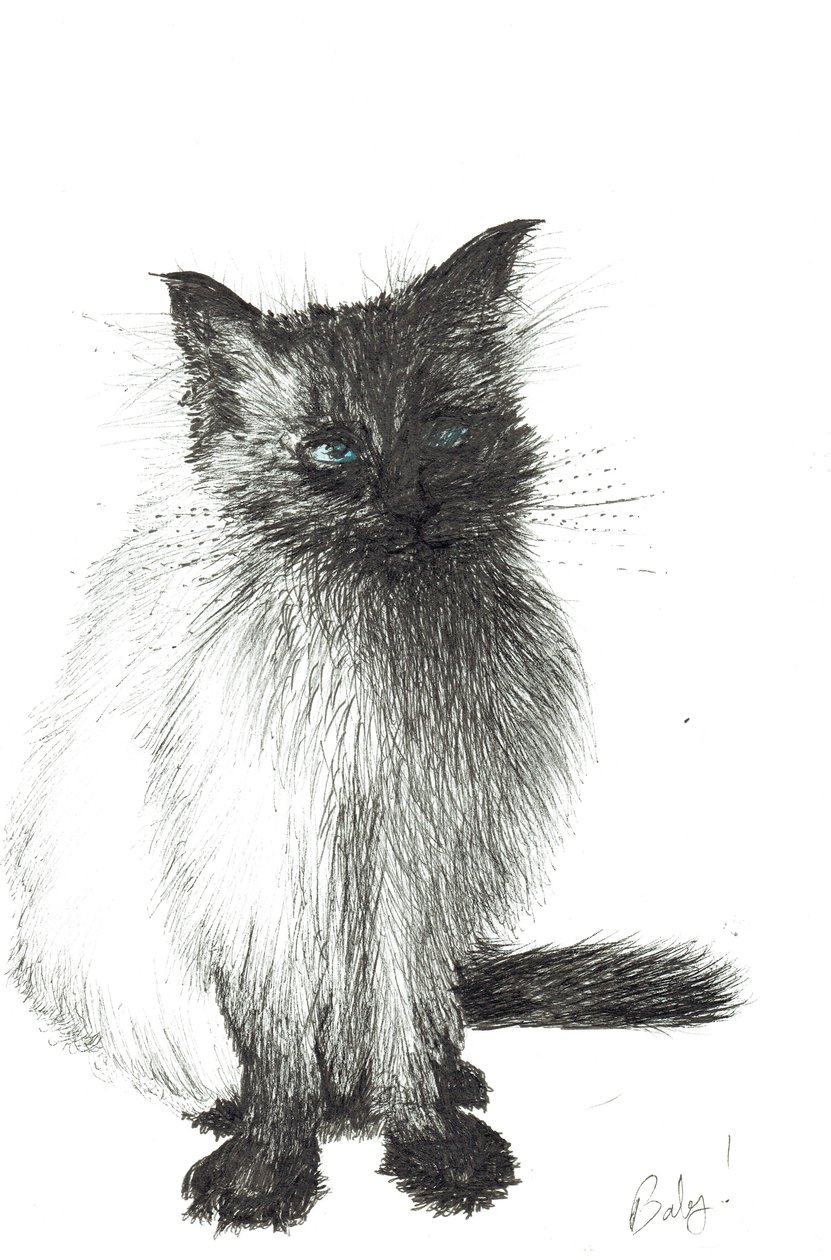 Küçük Bebek, 2004 by Vincent Alexander Booth