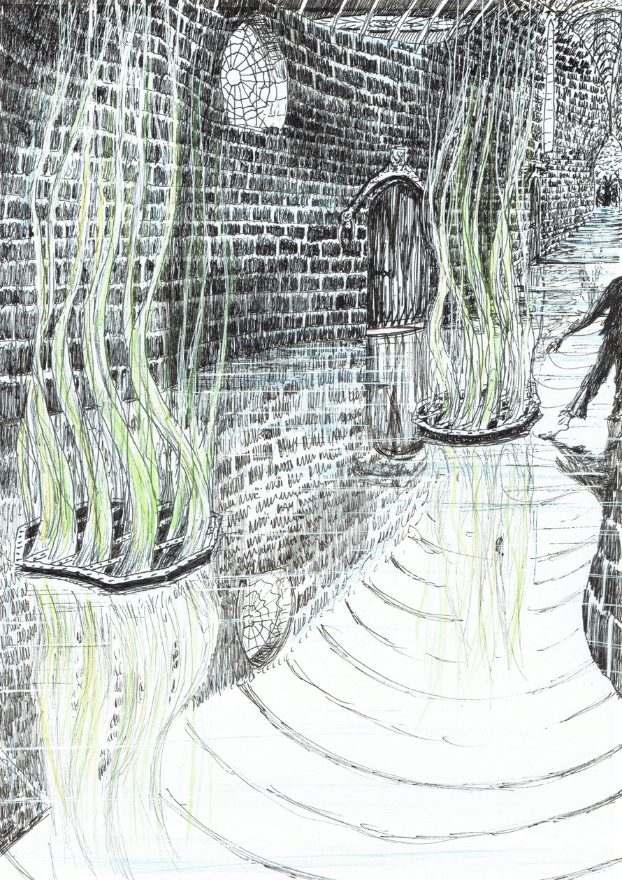 sayfa 29, Findhorn Ormanındaki Kale, 2006, (kağıt üzerine mürekkep) by Vincent Alexander Booth