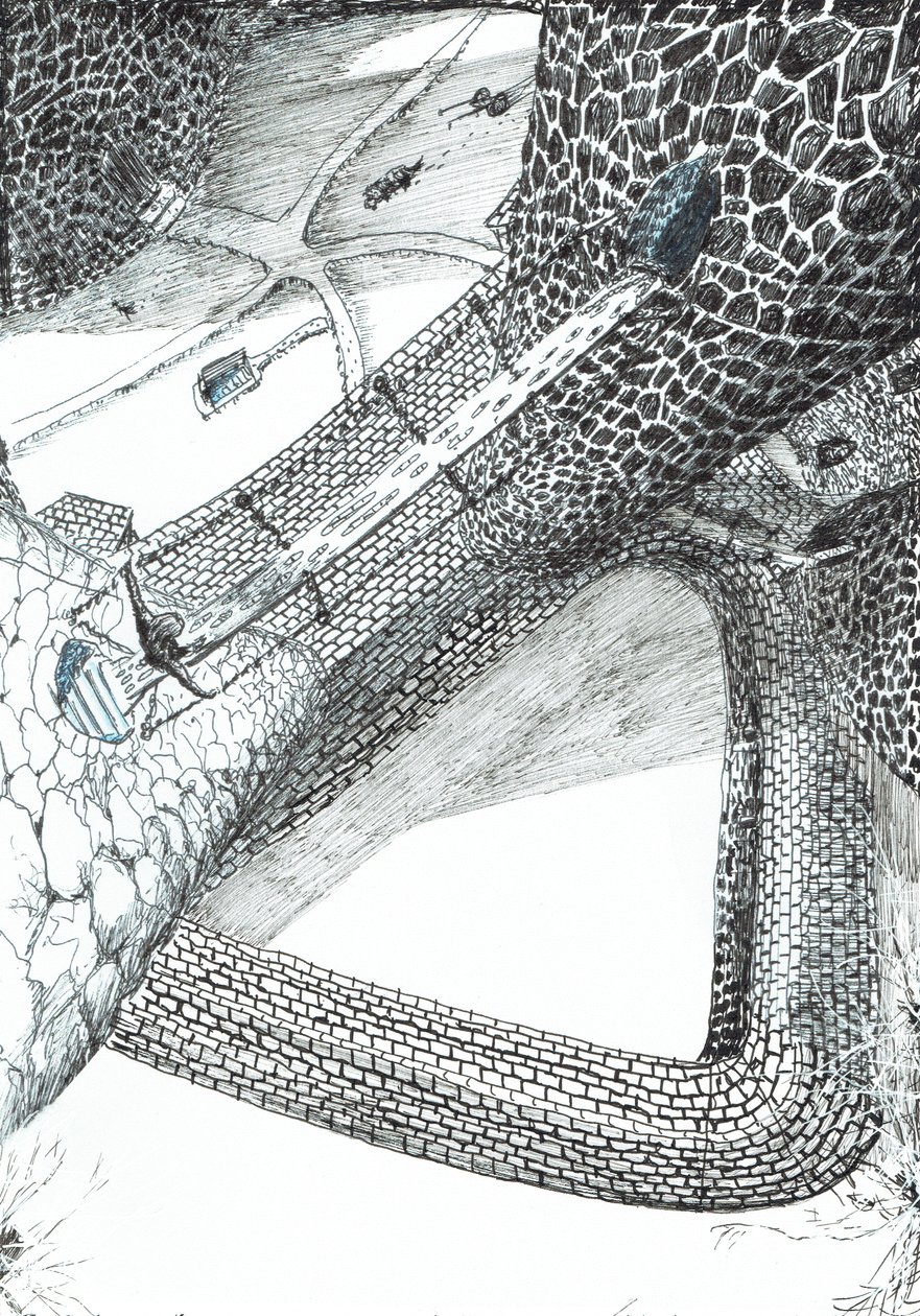 sayfa 31, Findhorn Ormanındaki Kale, 2006, (kağıt üzerine mürekkep) by Vincent Alexander Booth