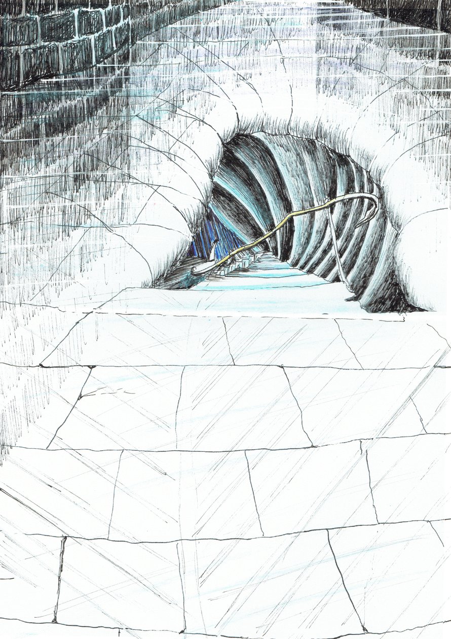 sayfa 45, Findhorn Ormanındaki Kale, 2006, (kağıt üzerine mürekkep) by Vincent Alexander Booth