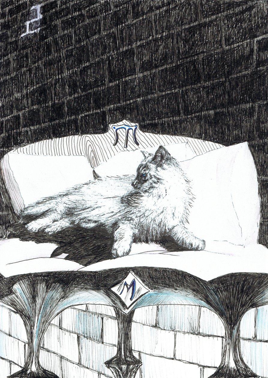 sayfa 52, Findhorn Ormanındaki Kale, 2006, (kağıt üzerine mürekkep) by Vincent Alexander Booth