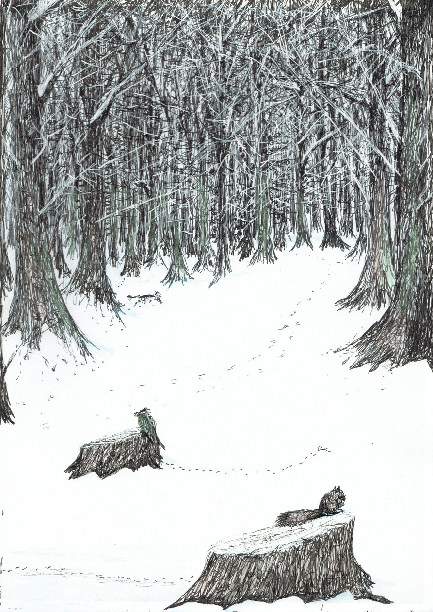 sayfa 5, Findhorn Ormanındaki Kale, 2006, (kağıt üzerine mürekkep) by Vincent Alexander Booth