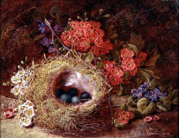 Bir kuş yuvası ve çiçeğinin natürmort by Vincent Clare