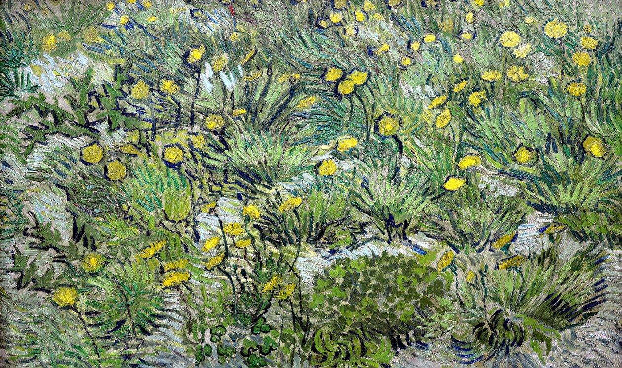 Karahindiba Karahindiba, 1889. by Vincent van Gogh