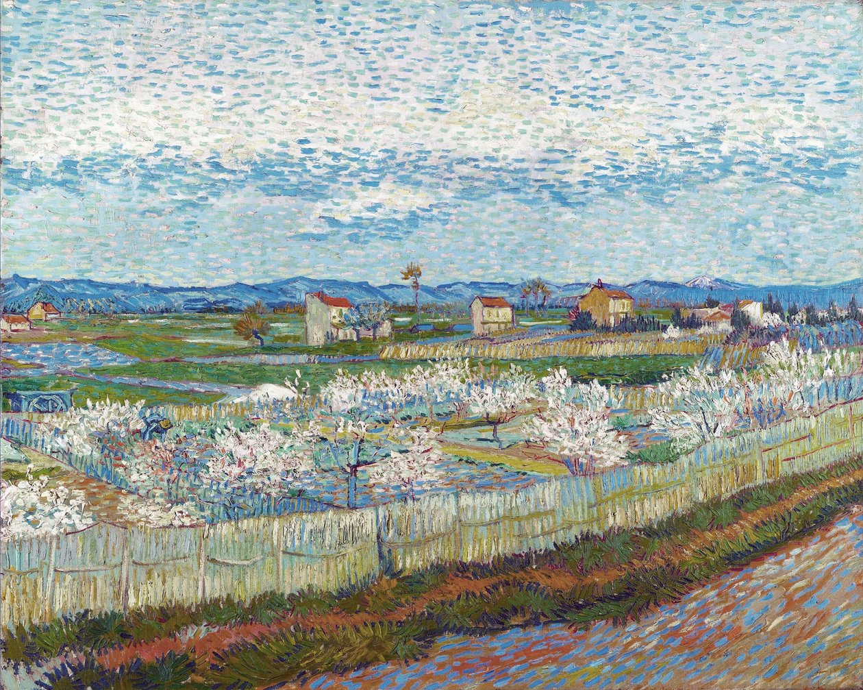 Blossom