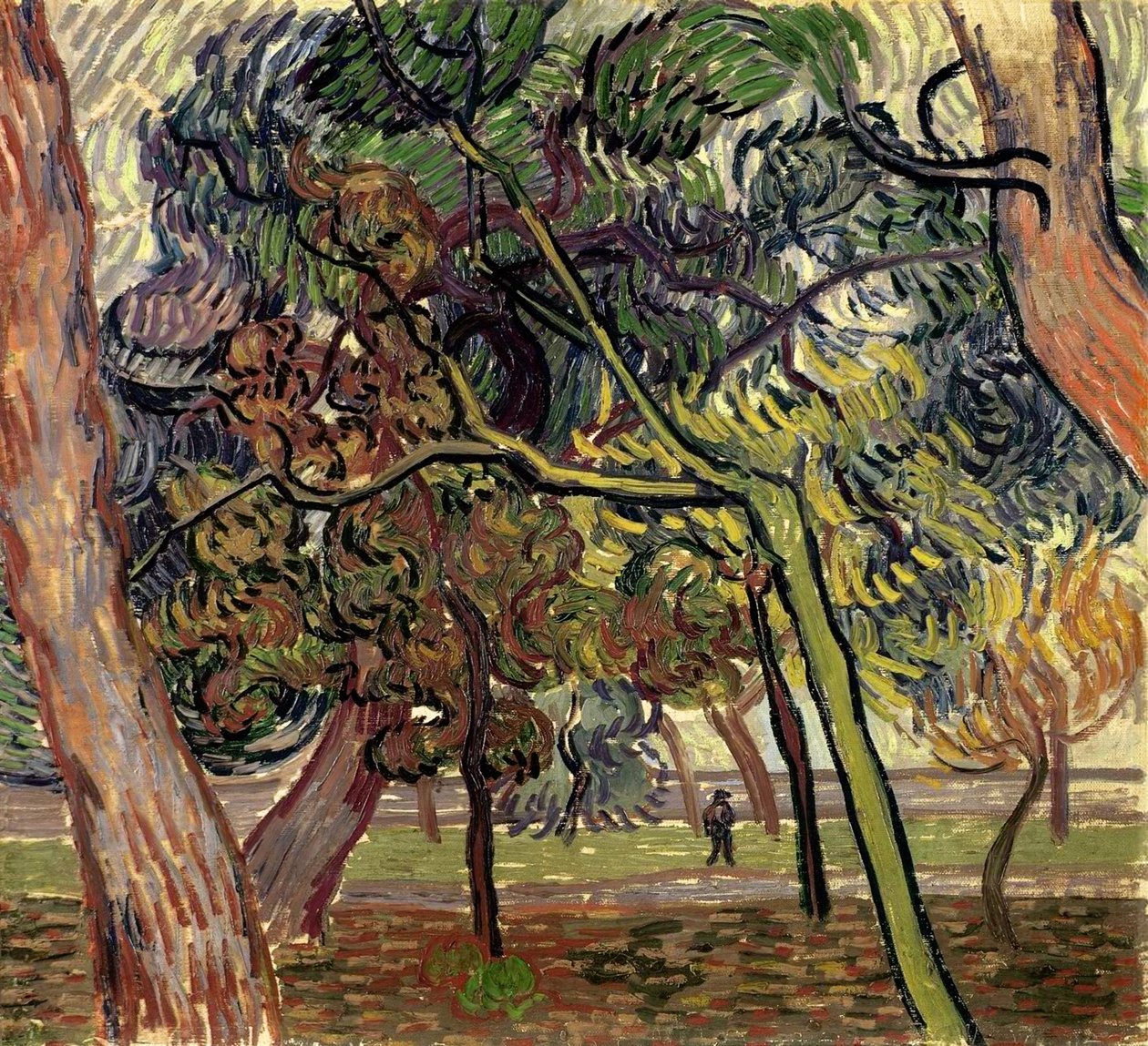 Akıl hastanesinin bahçesindeki çam ağaçları, 1889. by Vincent van Gogh