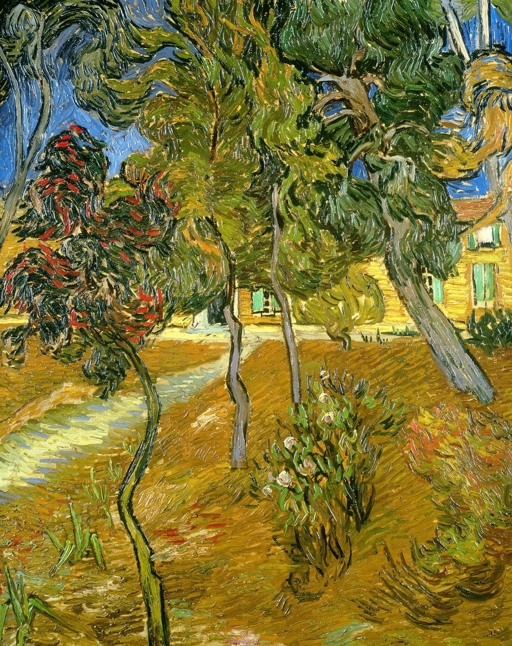 Akıl hastanesinin bahçesindeki ağaçlar, 1889. by Vincent van Gogh
