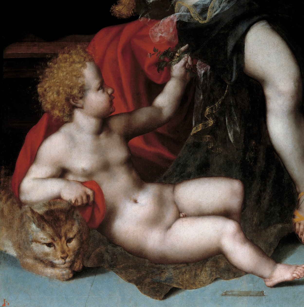 Jüpiter Antiope ile satirde ve ikizlerden birini kedili temsil eden Ayrıntı ikizleri. Vincent Sellaer tarafından yapılan tablo (1500-1589 dolaylarında) 16. yüzyıl. by Vincent Sellaer