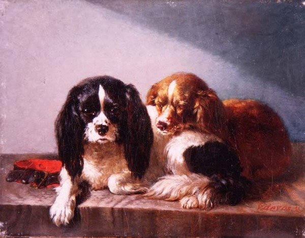Bir Çıkıntıda Bir Çift Cavalier King Charles Spaniel by Vincent de Vos