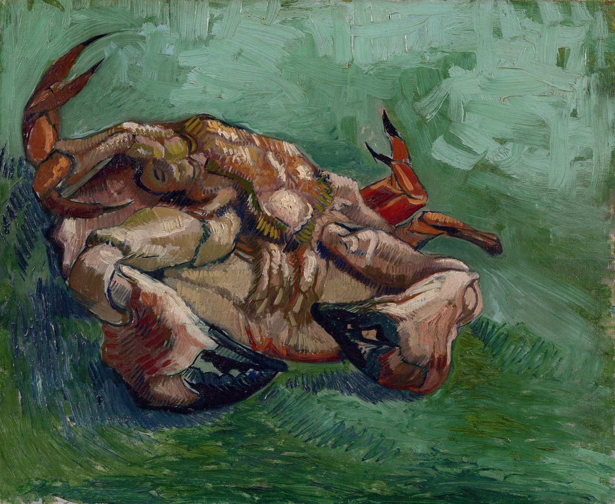 Sırtında Bir Yengeç par Gogh, Vincent, van (1853-1890). Tuval üzerine yağlı boya, ebat : 38x46,8 by Vincent van Gogh