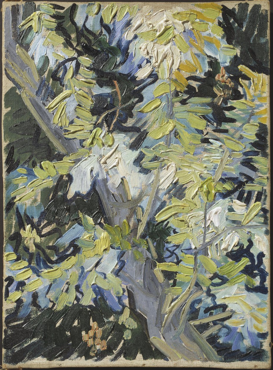 Acacia en fleur - Acacia Flowering, Gogh, Vincent, van (1853-1890). Tuval üzerine yağlıboya. Boyut : 33x24 cm. Ulusal Müze Stockholm by Vincent van Gogh