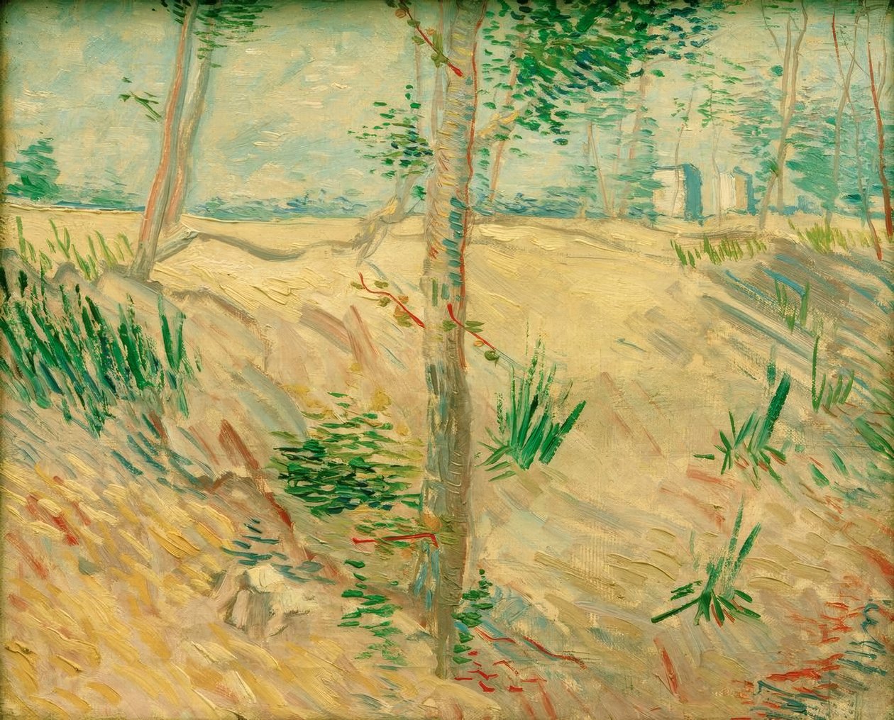 Güneş ışığında ağaç gövdeleri by Vincent van Gogh