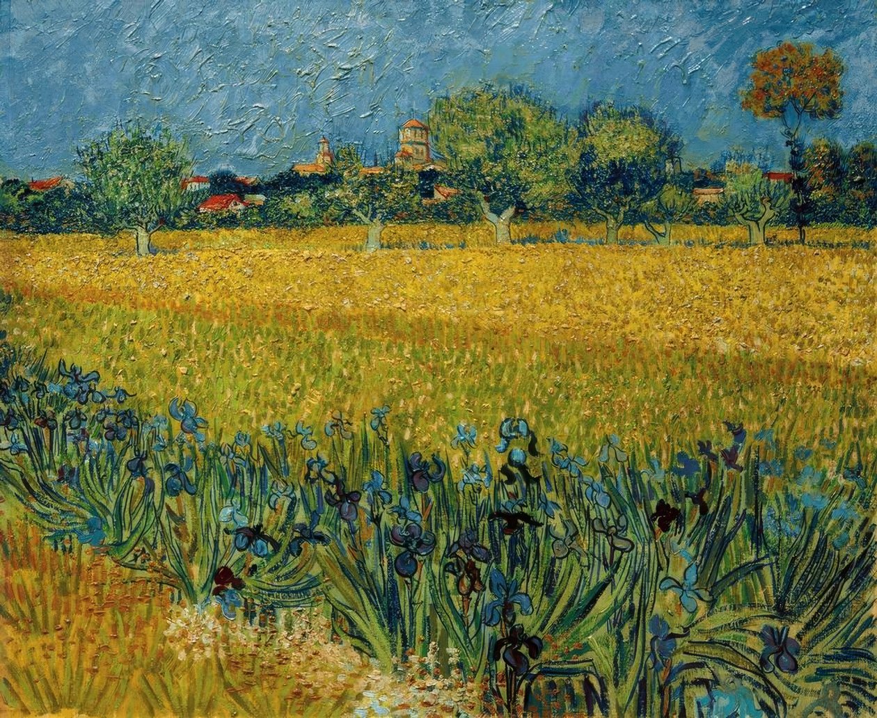 Ön planda iris çiçekleri olan Arles manzarası by Vincent van Gogh