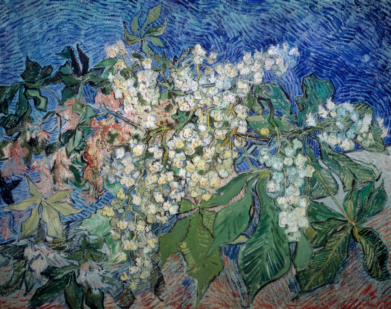 Çiçekli kestane dalları by Vincent van Gogh