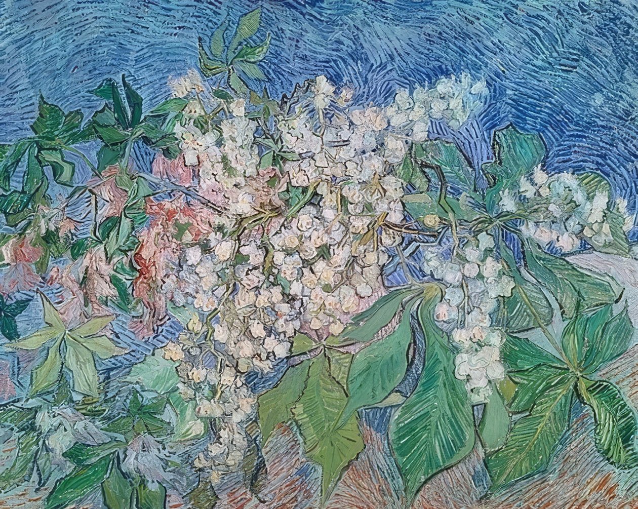 Çiçekli kestane dalları. 1890 by Vincent van Gogh