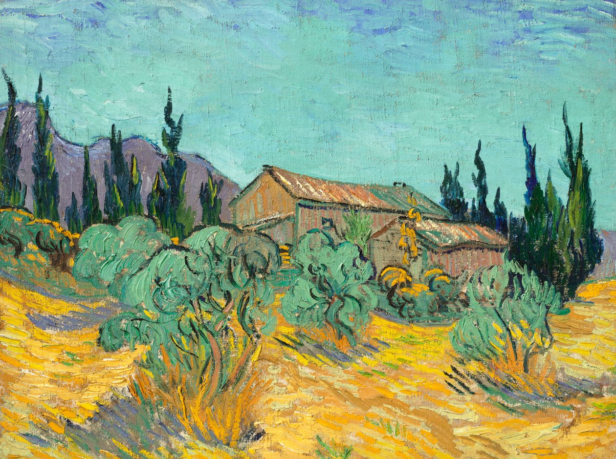 Zeytin ağaçları ve selvi ağaçları arasında ahşap kulübeler by Vincent van Gogh