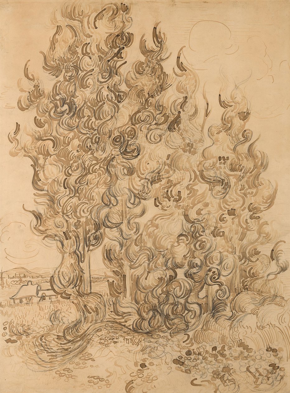 selvi by Vincent van Gogh