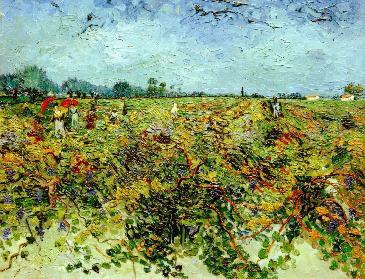 yeşil bağ by Vincent van Gogh