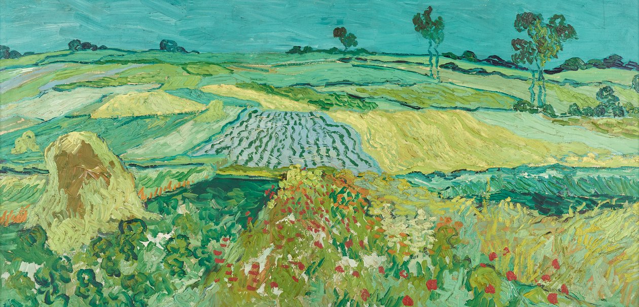 Auvers ovası by Vincent van Gogh
