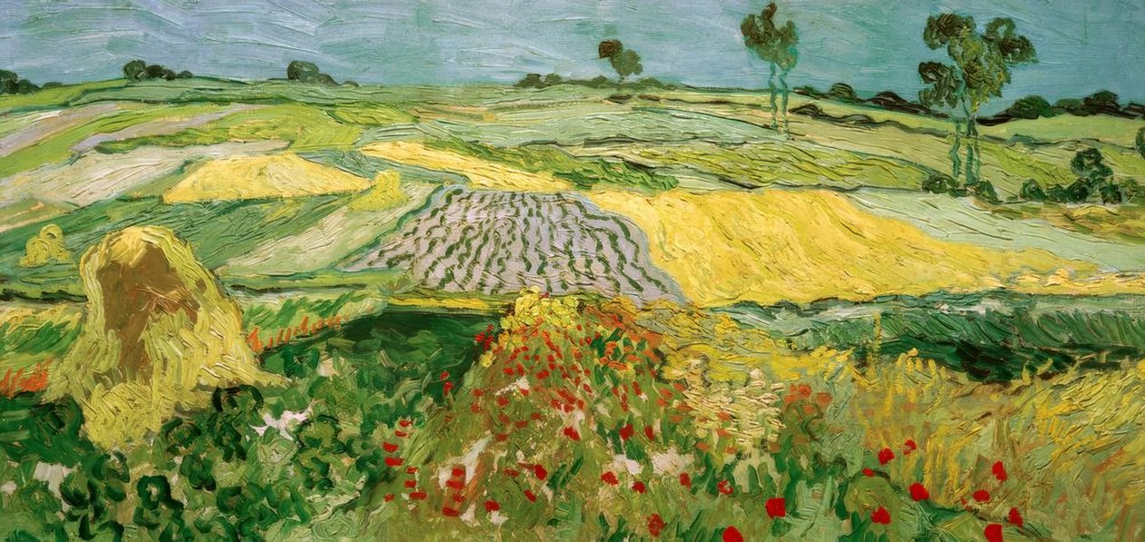 Auvers Ovası by Vincent van Gogh