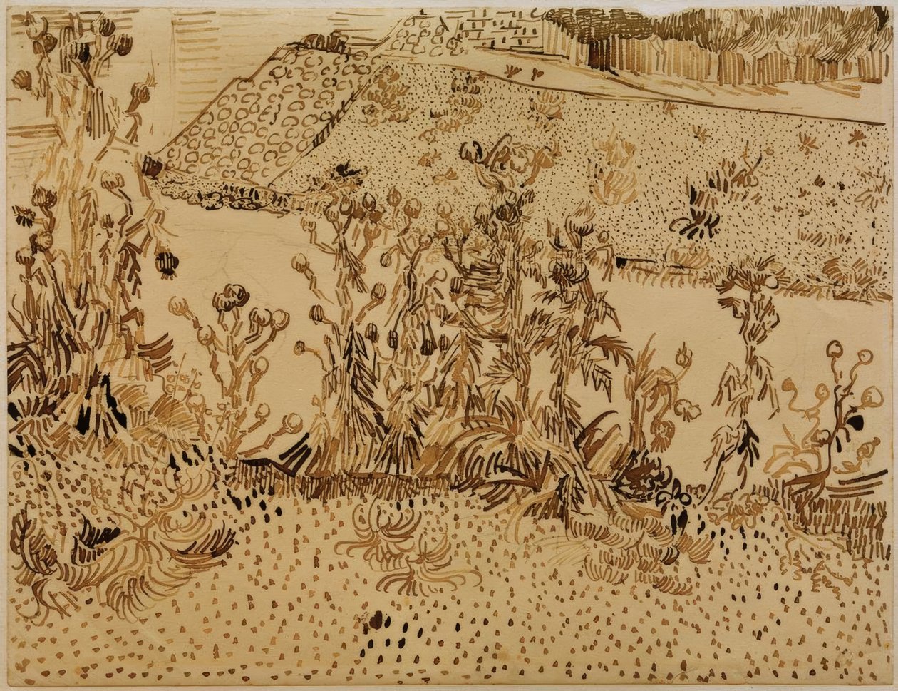 Yol kenarındaki devedikeni by Vincent van Gogh