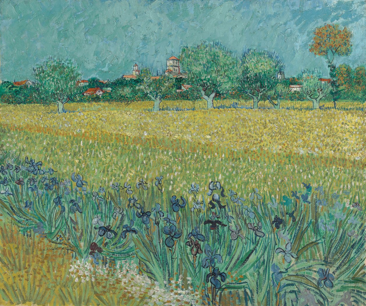 Arles yakınlarındaki çiçekli tarla by Vincent van Gogh
