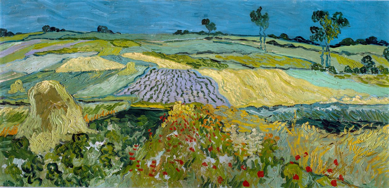  by Vincent van Gogh