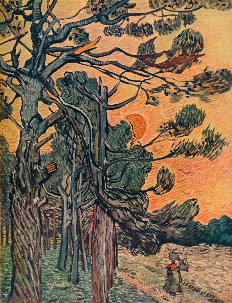 Günün Sonunda Köknar Ormanı, 1889 by Vincent van Gogh