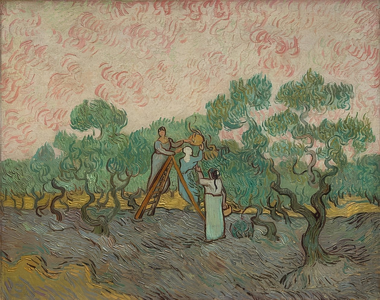 Zeytin toplayan kadınlar. 1889 by Vincent van Gogh