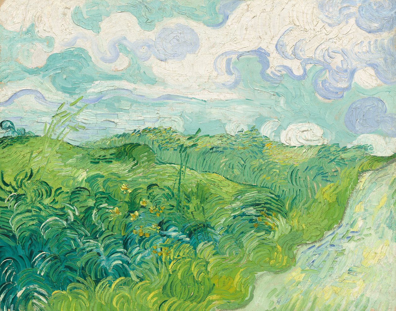 Yeşil Buğday Tarlaları, Auvers by Vincent van Gogh