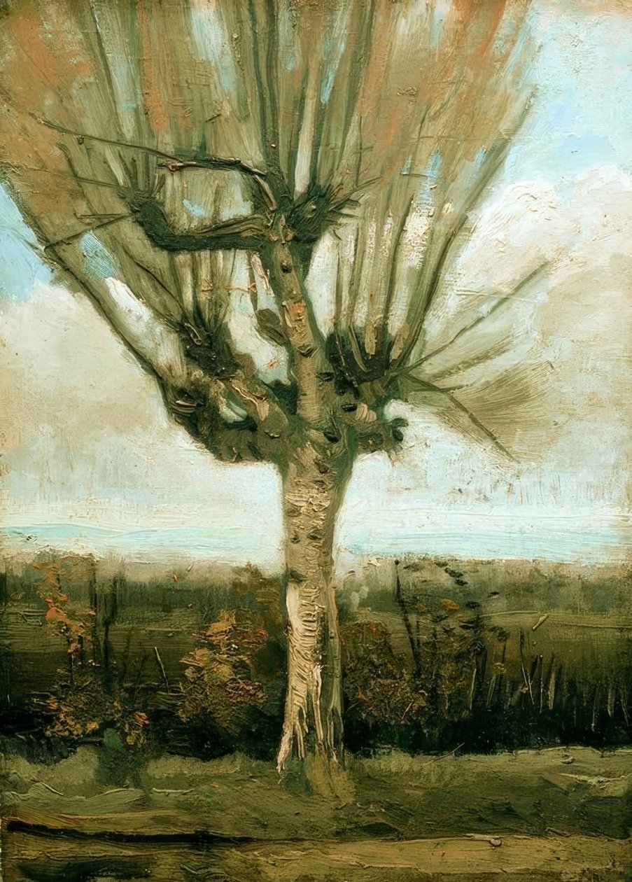 polenli söğüt by Vincent van Gogh