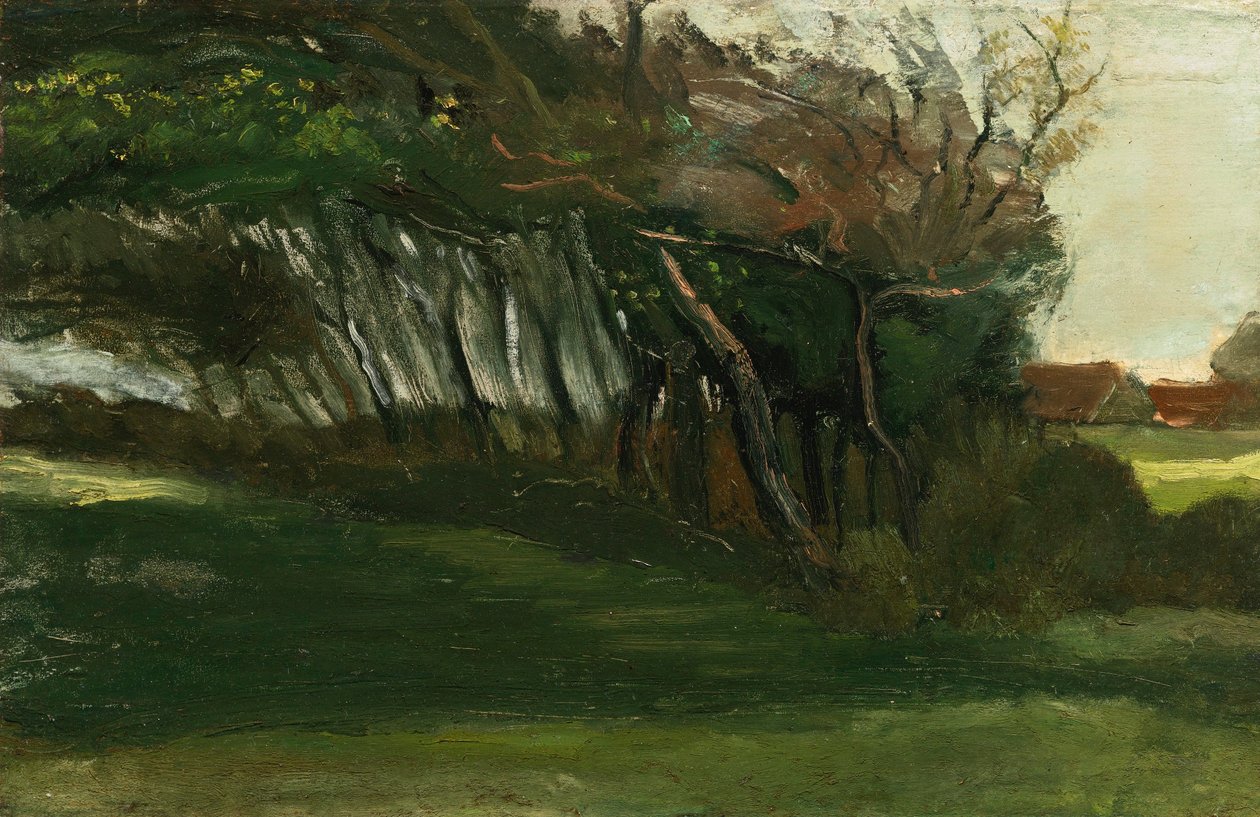 Rüzgârlı ağaçlarla manzara, c.1883-84 (tuval üzerine yağlı boya) by Vincent van Gogh