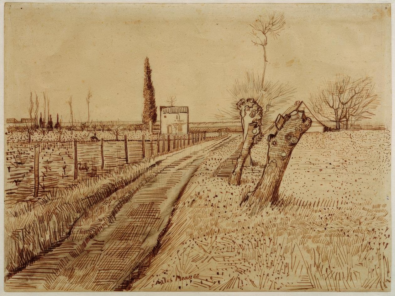 Bir yol ve kirli söğütler ile manzara by Vincent van Gogh