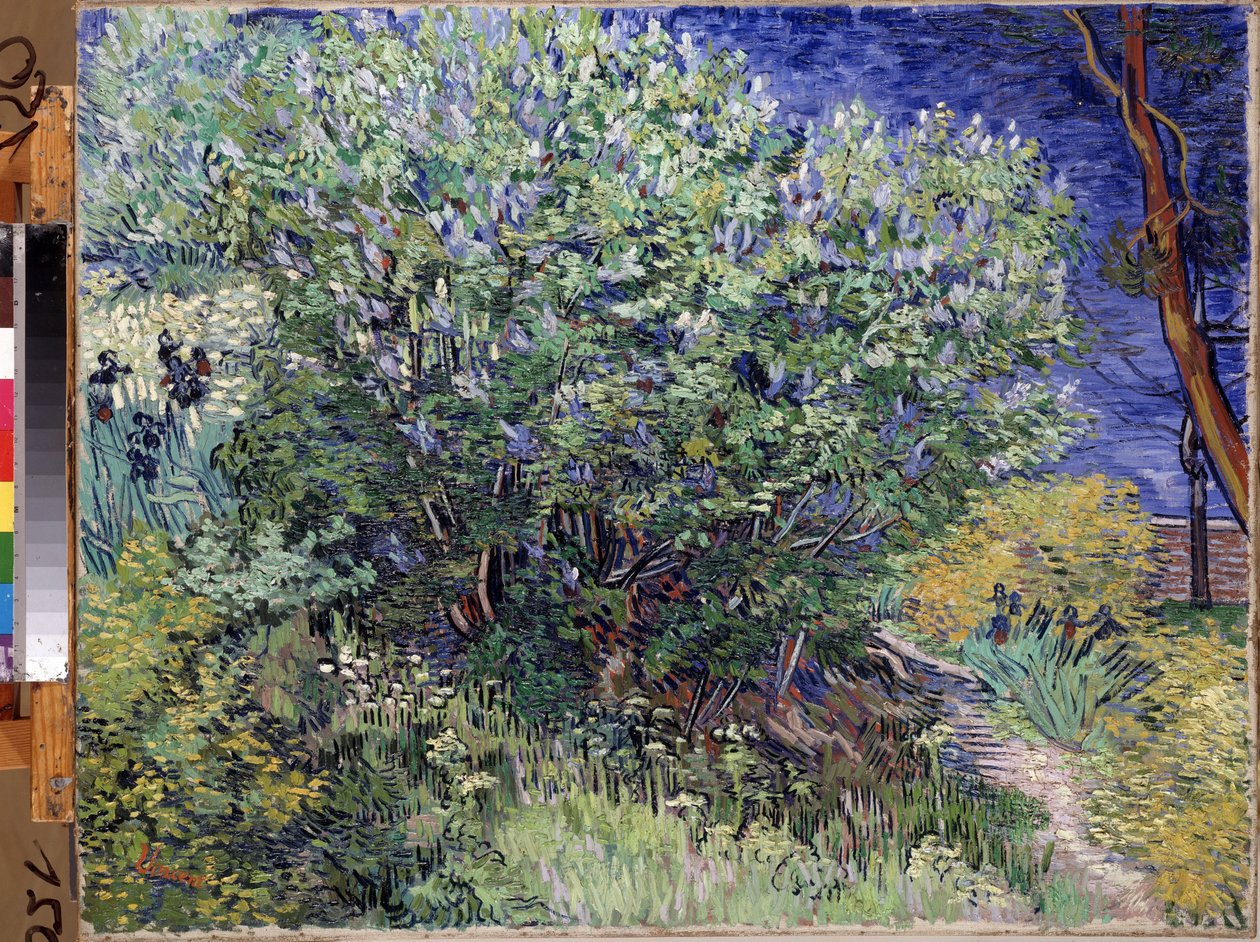 ""Leylak Çalı"" (Leylak Çalı) Tablo Vincent van Gogh (1853-1890) 1889 Dim. 72x92 cm Hermitage Müzesi, Sankt Petersburg (Saint-Petersburg) by Vincent van Gogh