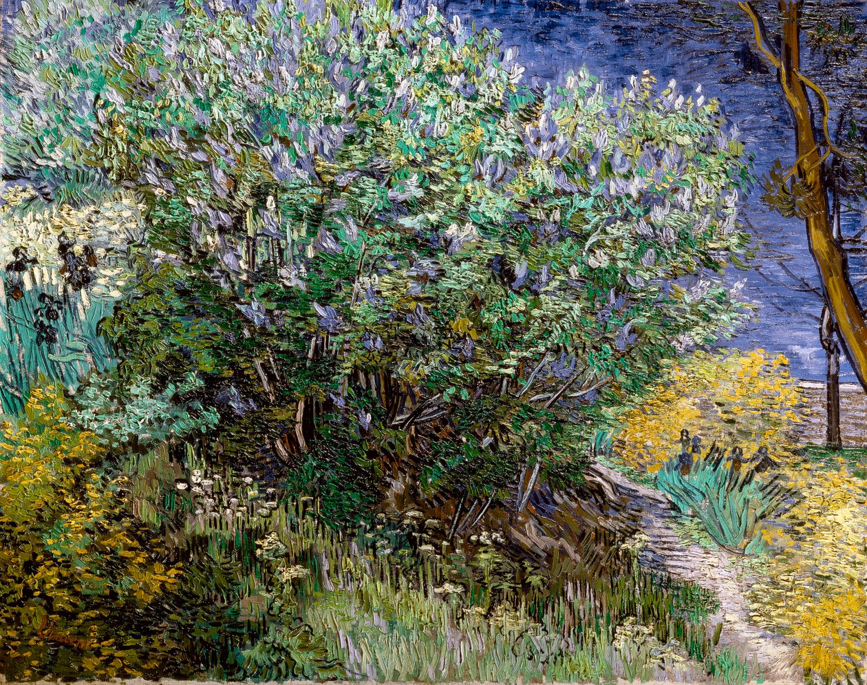 Leylak çalısı. Vincent VAN GOGH (1853-1890) by Vincent van Gogh