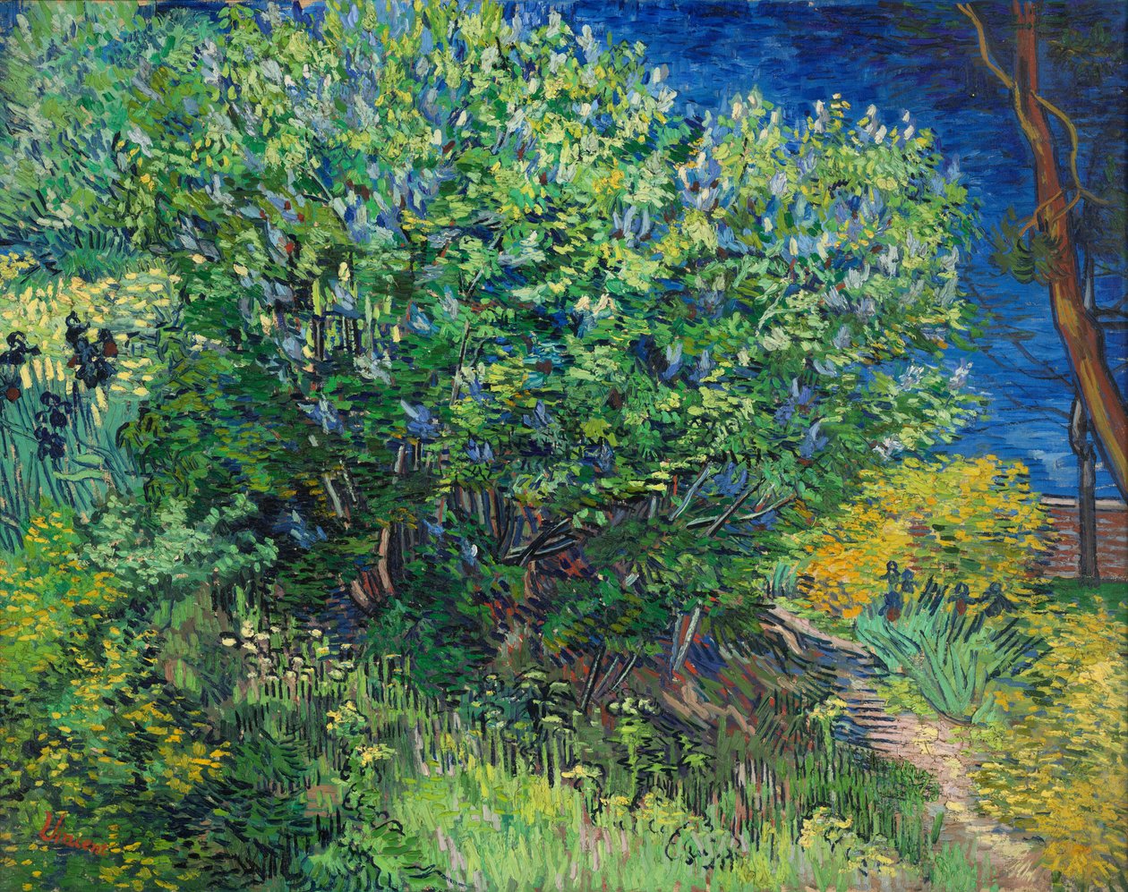 Leylaklar by Vincent van Gogh