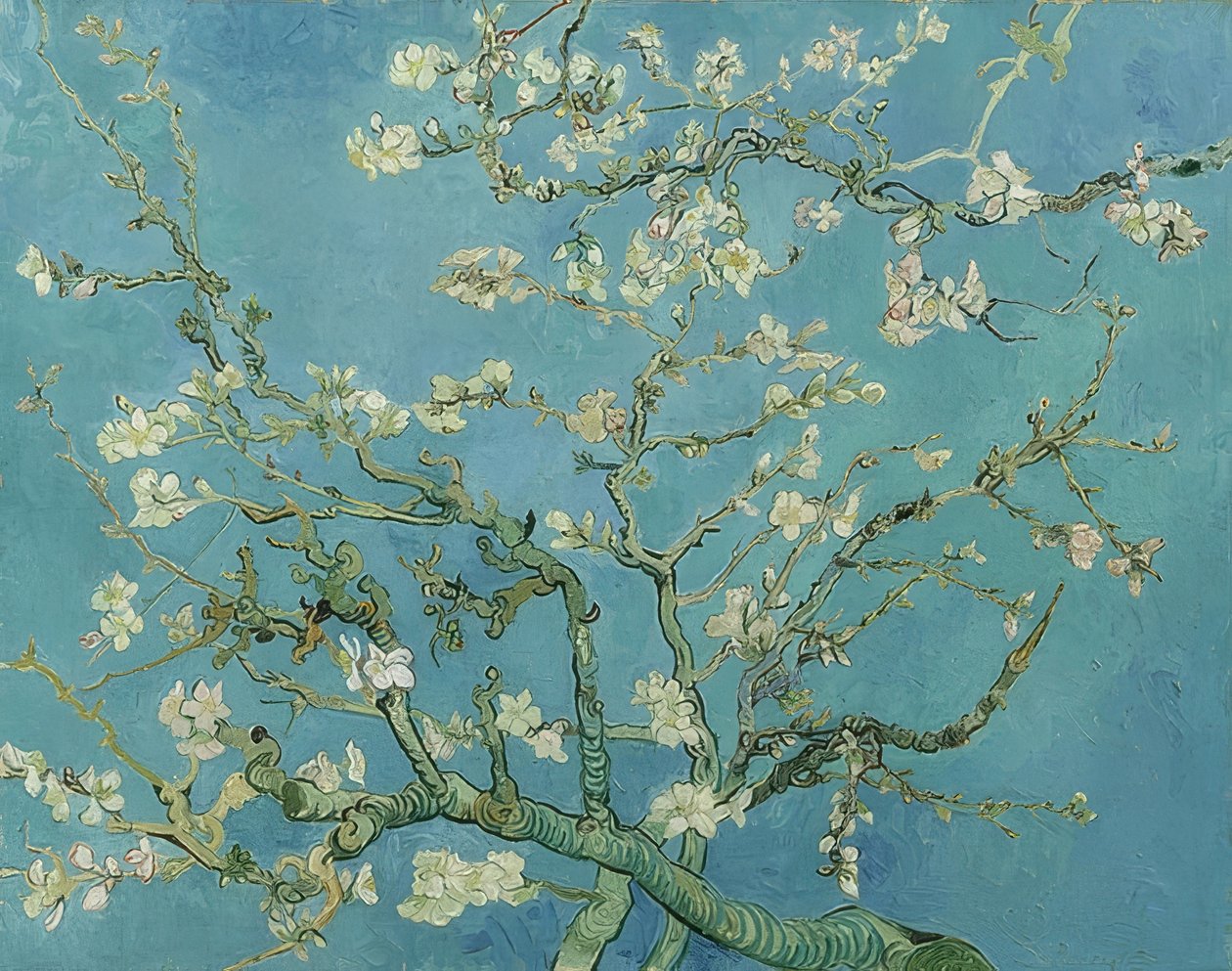 Badem çiçekleri. 1890 by Vincent van Gogh